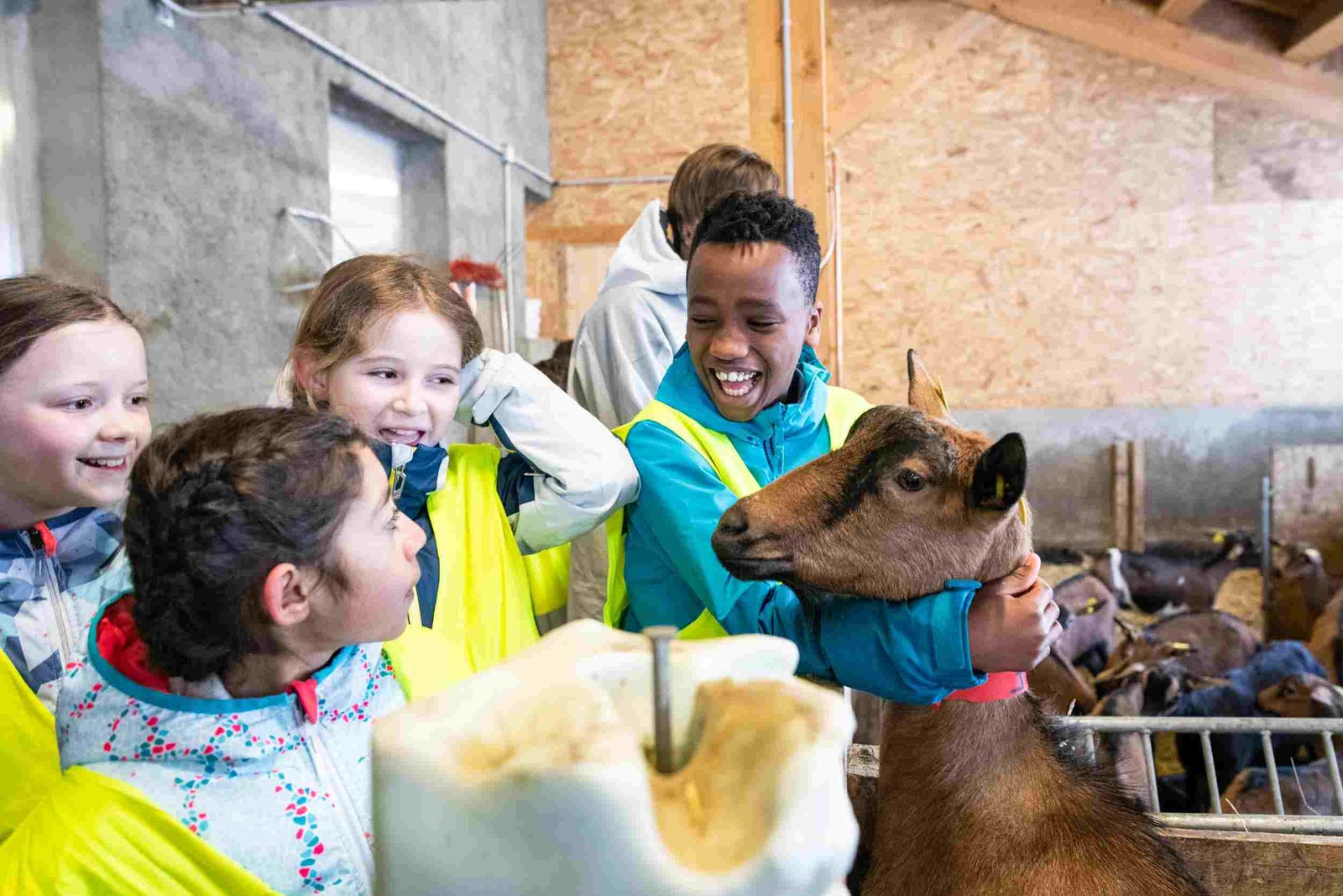 Visite d'une ferme de montagne - Savoie