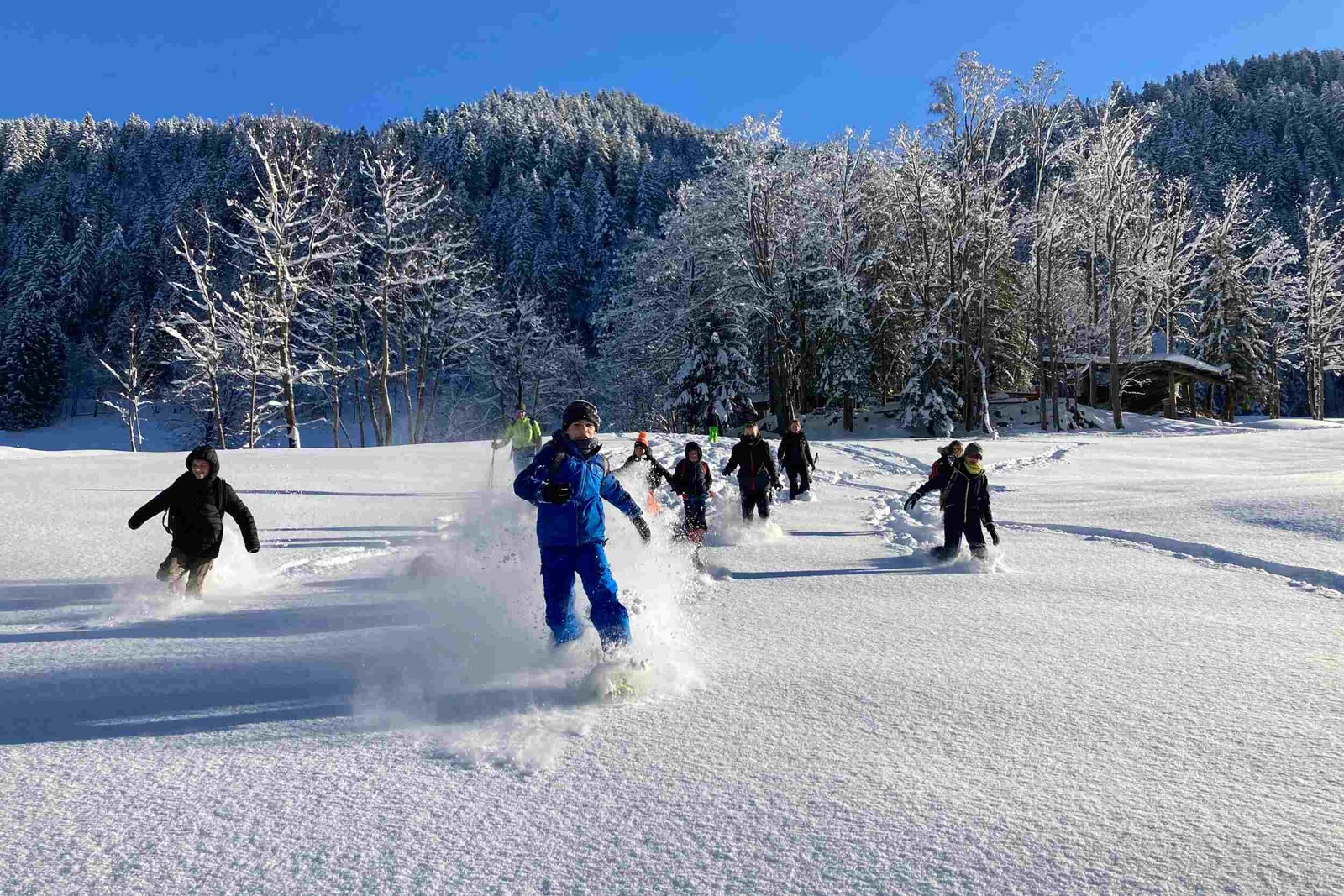 Sortie raquettes à Arêches - Savoie