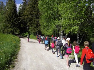 randonnée enfants classe verte concours