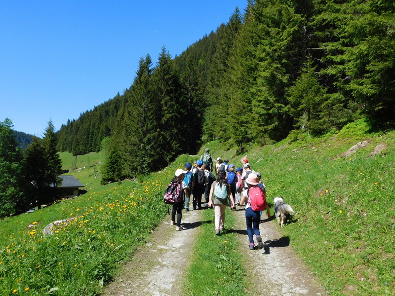 Classe verte randonnée Beaufortain