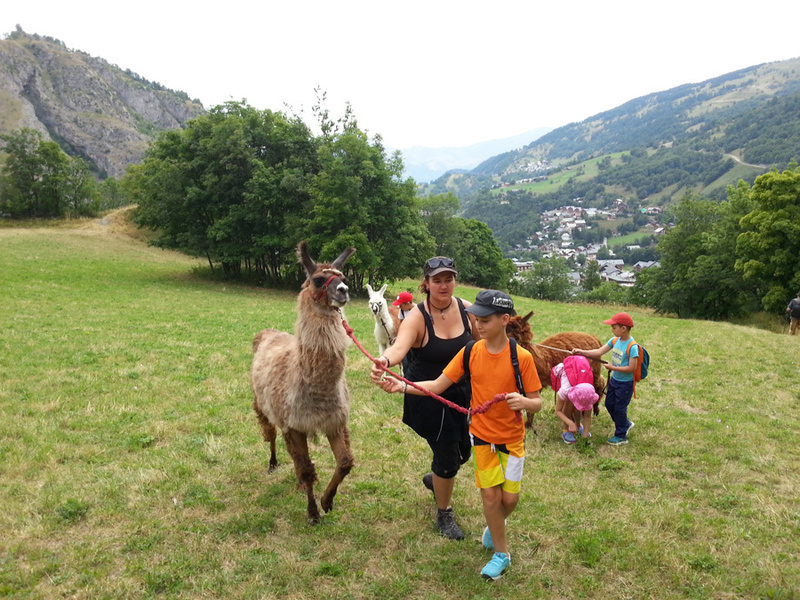DMJ Lamas