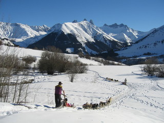 Chiens de traineaux à Saint Jean d'Arves