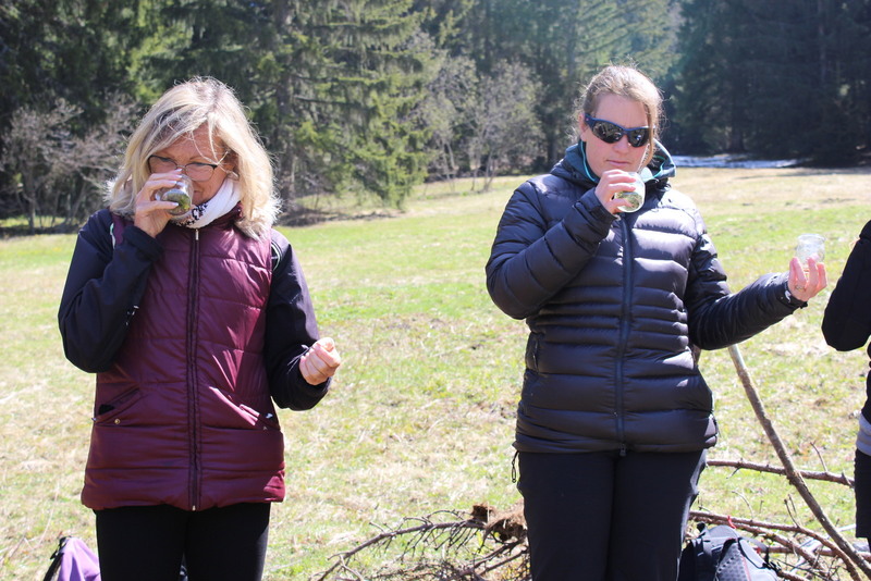 Activité Sensorielle  odorat