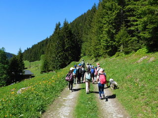 Classe verte randonnée Beaufortain