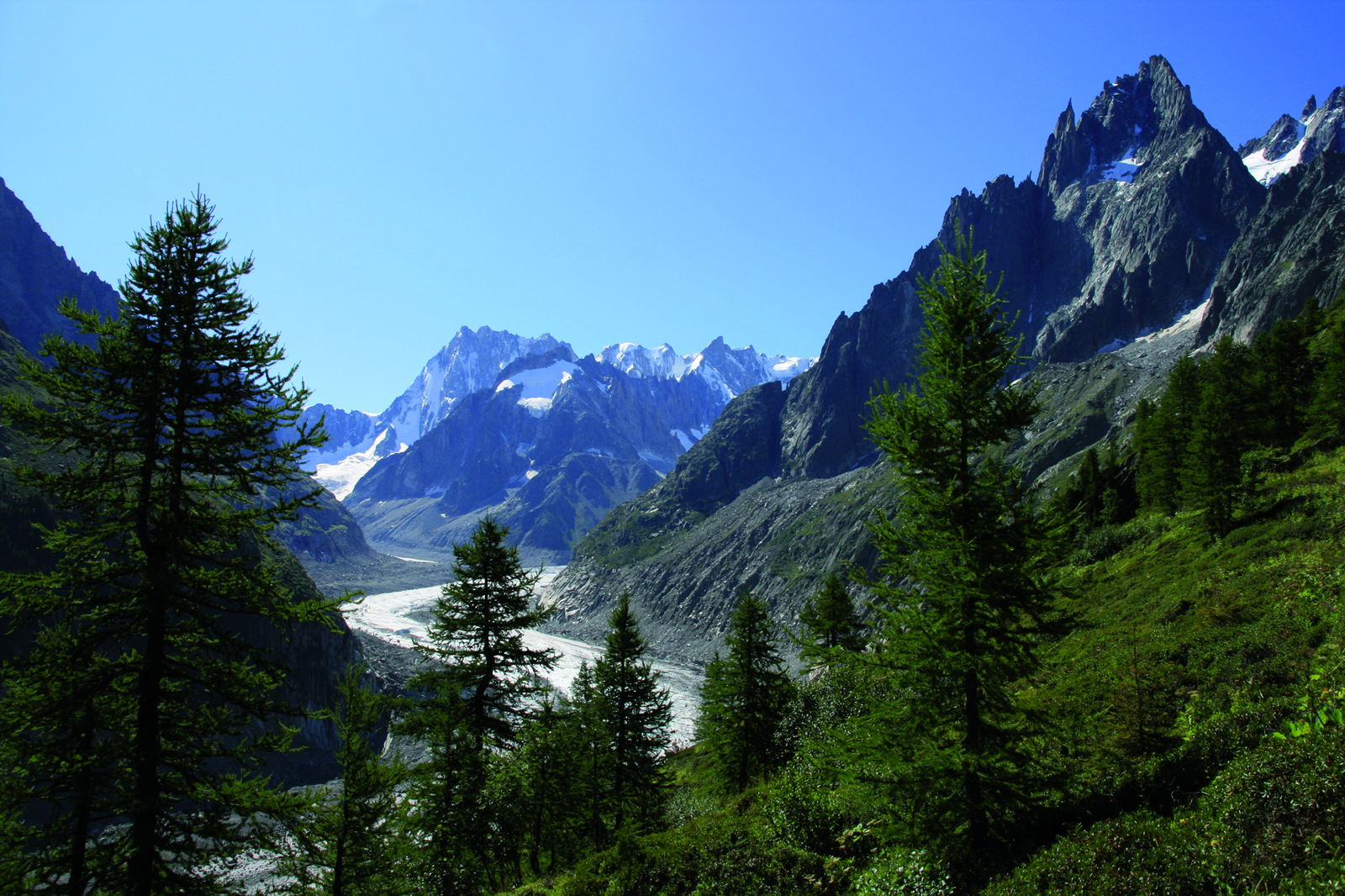 Mer de Glace 